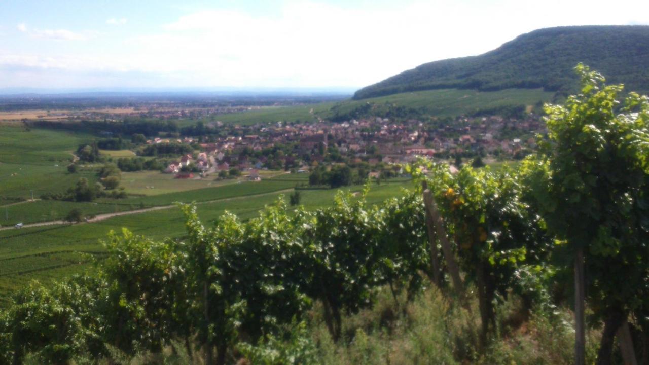 Gîtes&Chambes d'Hôtes Fugler Orschwihr Exterior foto